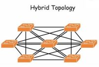 Cara Kerja Topologi Hybrid