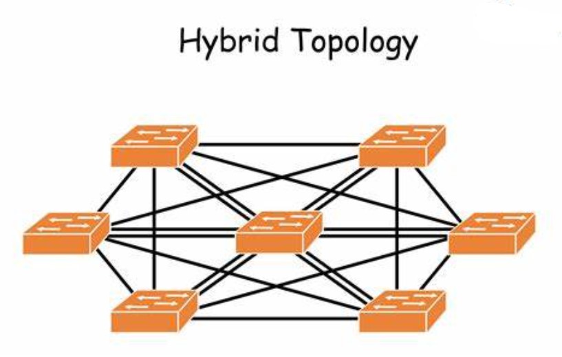 Cara Kerja Topologi Hybrid